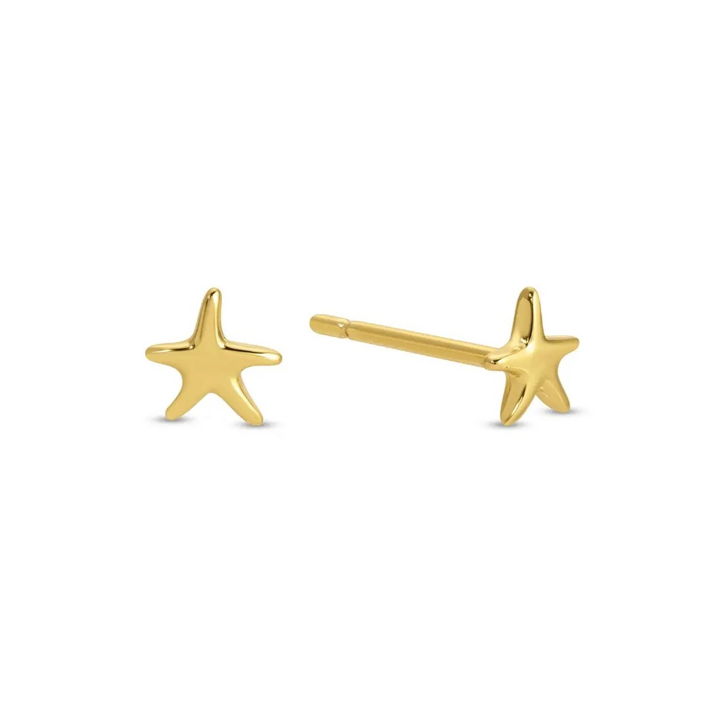 Starfish on Velvet
